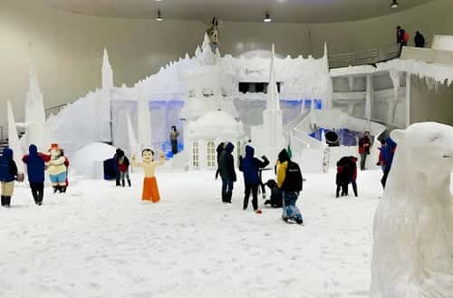 Snow City Bangalore: A -5°C Winter Adventure Right Next Door